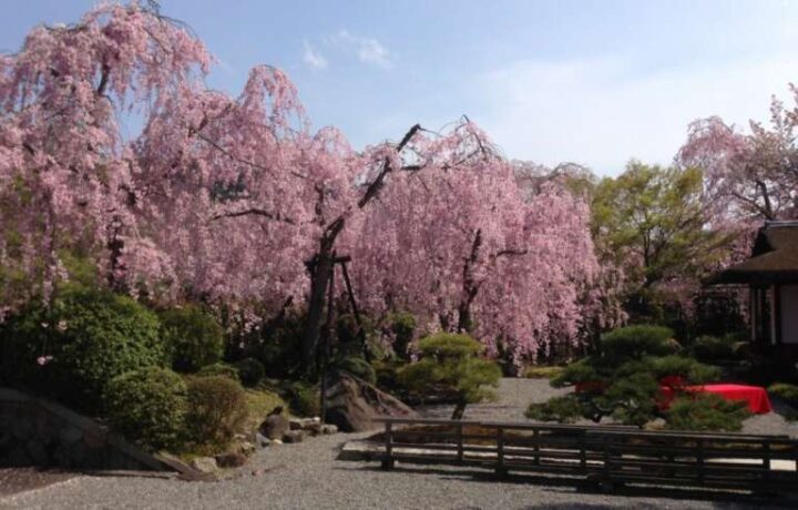 4月春のお出かけは、京都南禅寺「清流亭」に参ります。